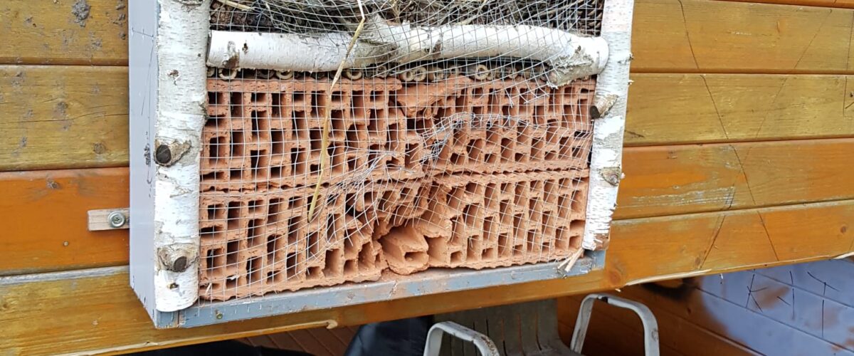 Zerstörtes Insektenhotel