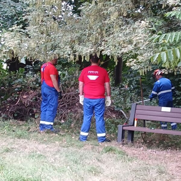 2 Männer stehen vor eine Benjes-Hecke. Ein dritter Mann arbeitet an der Hecke.