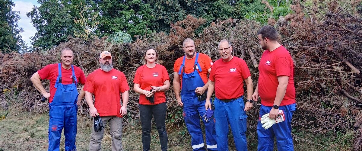 Gruppenfoto. 5 Männer und eine Frau stehen auf einer Wiese.